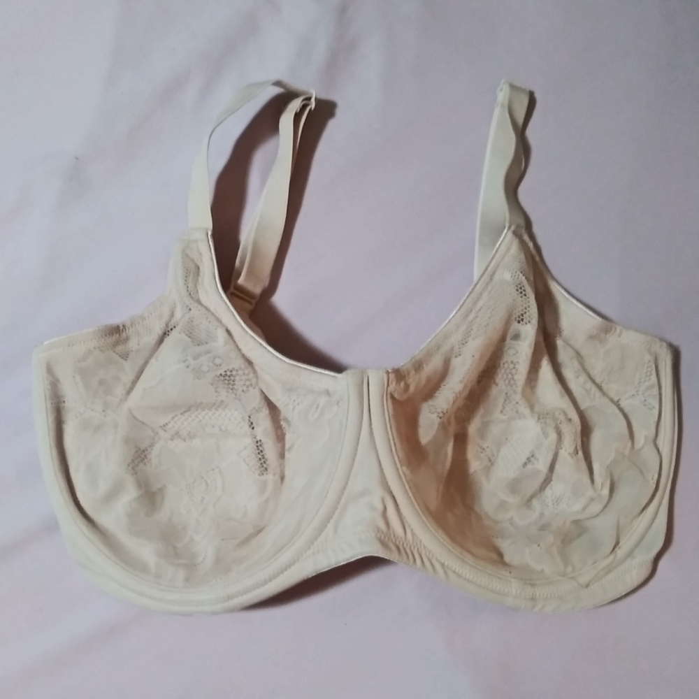 Delmira Size 34E Bra Style W581C Floral mesh beige pink Underwire NWOT.